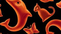 Gift from Orange to Dolphin, Panther and Butterfly new subscribers