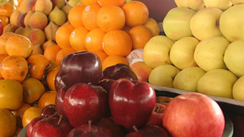 Official says harvest expected to be rich
