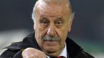 Raul is potential call up for Euro 2012, Del Bosque says