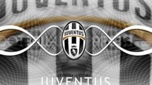 Juventus target Vidic, Torres