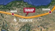 Эксперт: Европа не заинтересована проектом TANAP, Турция ищет новые варианты, а у Азербайджана деньги закончатся к 2017 году