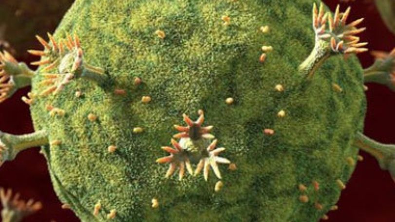 HIV: new approach against virus 'holds promise'