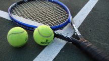 Ferrer, Verdasco in Mexican Open final