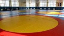 Armenia’s national freestyle wrestling team composition announced