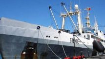 22,000 square miles of Okhotsk Sea searched, 13 missing after ship sinking    