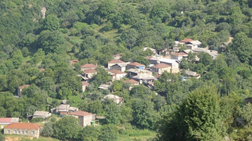 «Ամենահամովը Տանձատափի լոբին ա». Գյուղապետի հպարտությունը