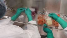 Personal cancer vaccine research 'exciting,' say experts