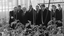 Amster Flowers to open second department in Etchmiadzin 