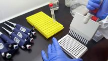 Experimental Ebola vaccine shows promising early test results