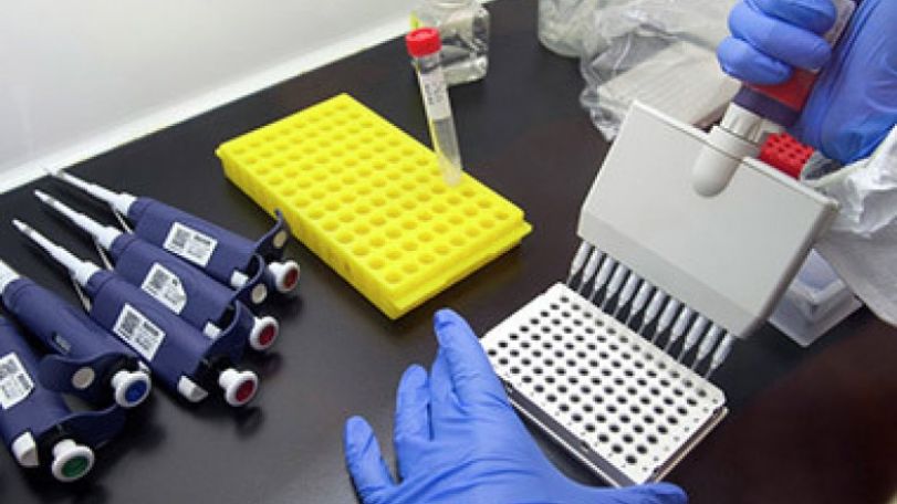 Experimental Ebola vaccine shows promising early test results