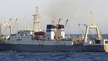 Dozens dead as Russian trawler sinks in Okhotsk Sea