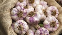 Garlic slows ageing and protects brain from disease 