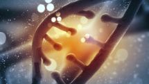 DNA of 'an entire nation' assessed