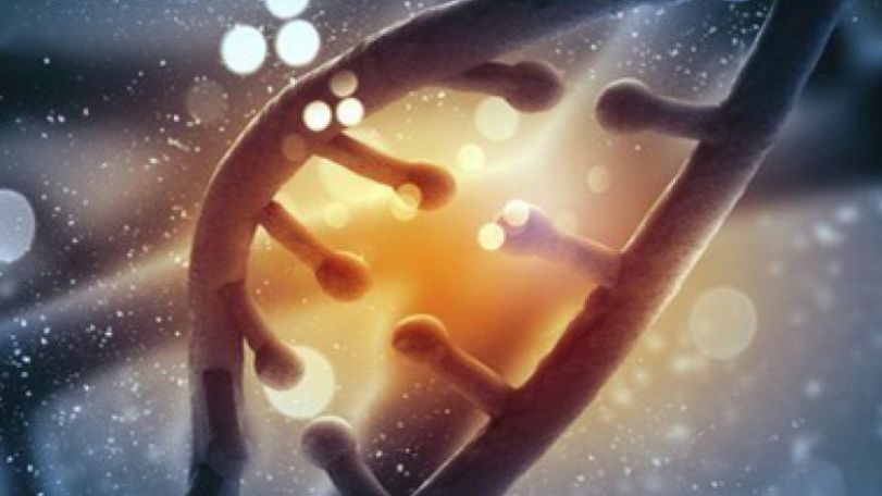 DNA of 'an entire nation' assessed