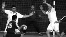 Hayk Karapetyan: Armenia has good national handball team 