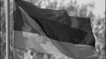Армянская сборная по самбо вернется на родину с семью медалями