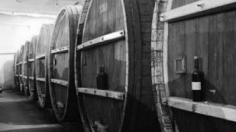 Areni village to host Wine Festival 