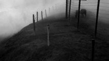 The Film ‘’Border’’ Wins 3 More Prizes