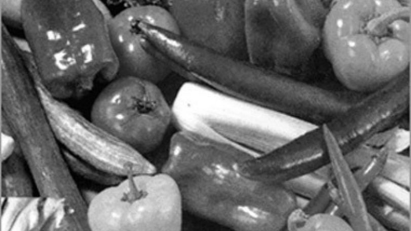 Russia lifts ban on vegetable import from Denmark and Spain