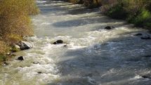 В мире сегодня отмечается День рек