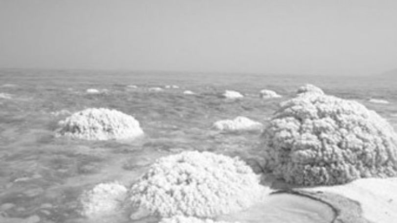 Araks River can save Lake Urmia of Iran
