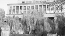 «Айкакан жаманак»: Ректор ЕГУ будет переизбран? 