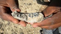 Oldest known jawbone from human genus found in Ethiopia  