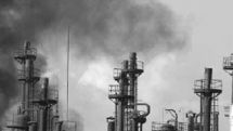 Facts about “Nairit”: What they lost and what they look for