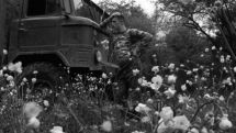 Armenian photographer wins in international photo contest
