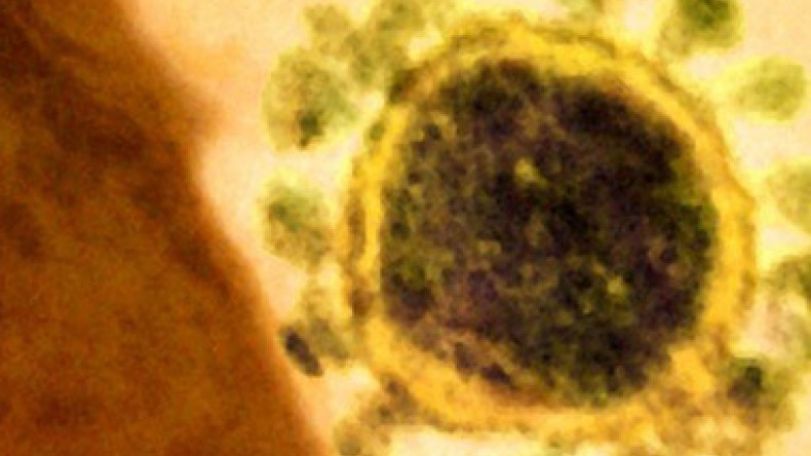 WHO calls for action over Mers virus