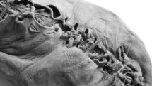 5500-year-old world’s oldest shoe displayed in State History Museum of  Armenia