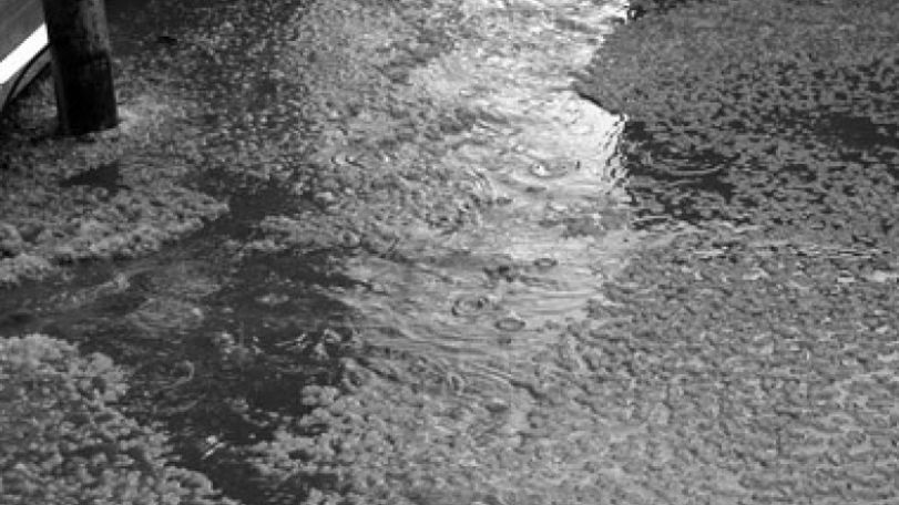 Hail damages to be partially compensated in Artsakh