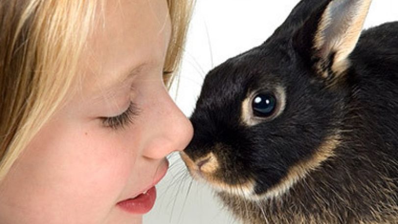 Random Acts of Kindness Day is celebrated today