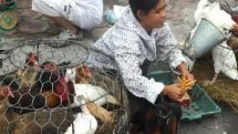 Bird flu case reported in China’s Guizhou Province