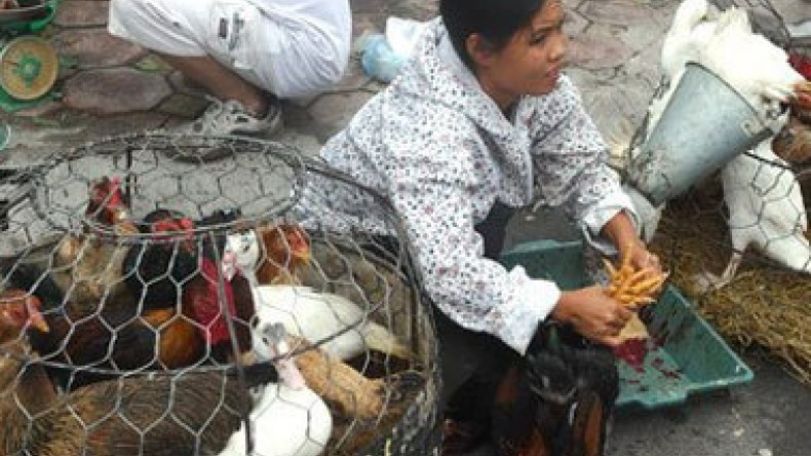 Bird flu case reported in China’s Guizhou Province