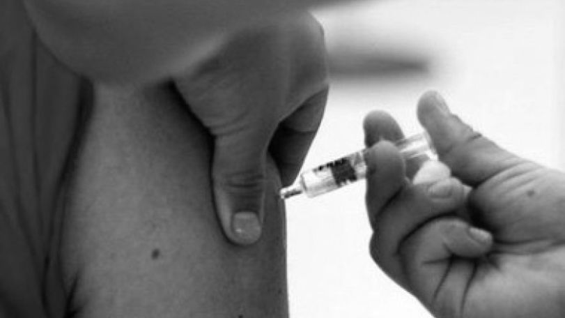Swine flu: business or epidemic