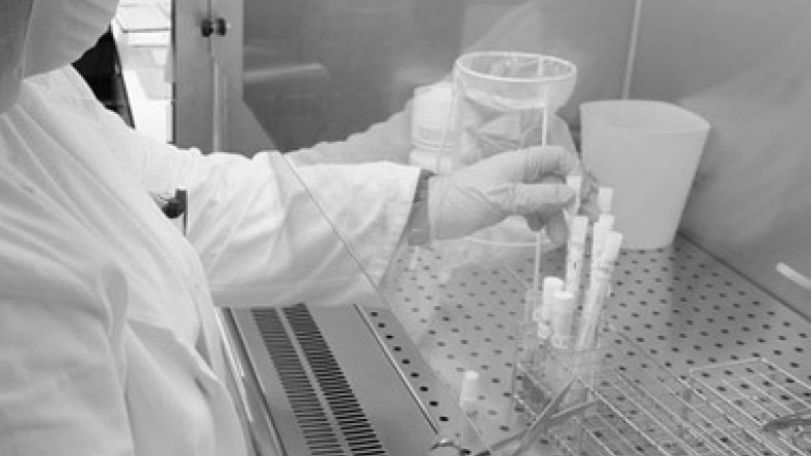 Лондонская референс лаборатория подтвердила диагноз AH1N1