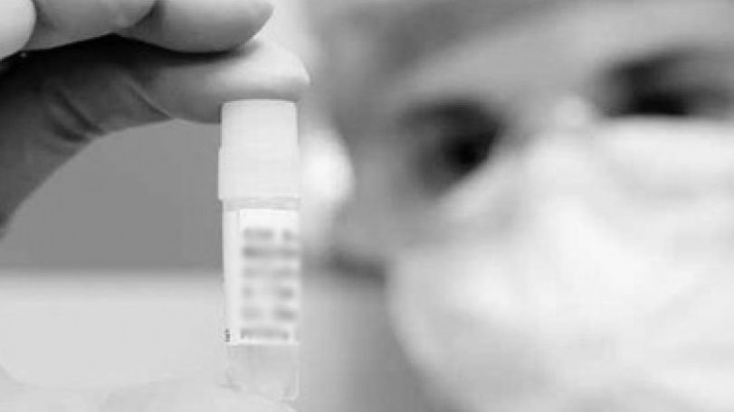 A/H1N1 cases reach 70 in Italy