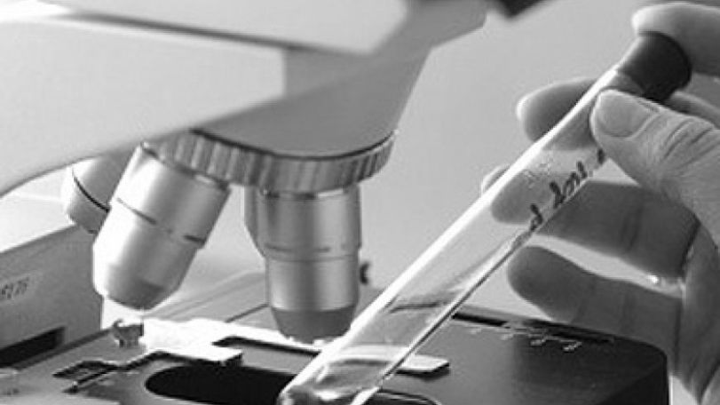 646 swine flu cases confirmed in Krasnoyarsk