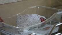 533 babies born in Yerevan over past week 