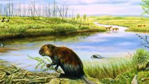 Ancient climate records 'back predictions'