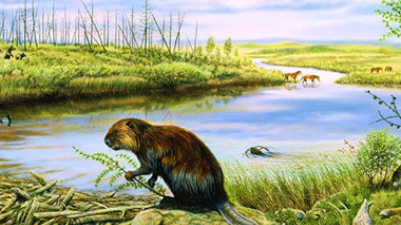 Ancient climate records 'back predictions'