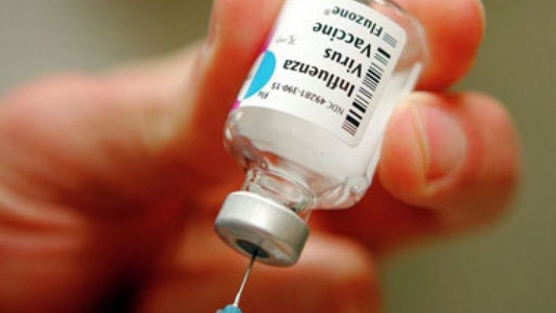 Swine flu recorded in France amid influenza outbreak
