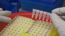 Ebola virus mutating, scientists say