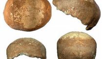 Skull clue to exodus from Africa