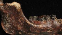 Taiwanese fishermen unearth unique ancient bones of ‘new human species’