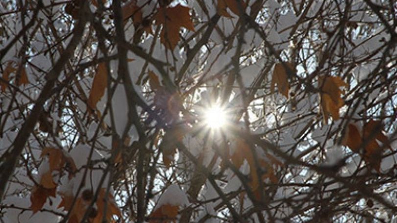 Temperatures to rise by 4-6 degrees 