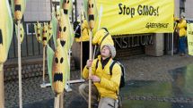 Food fight: Has the EU endorsed its own genetic modification?
