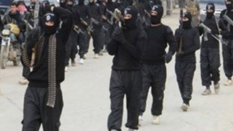 US has done nothing to fight ISIL – analyst