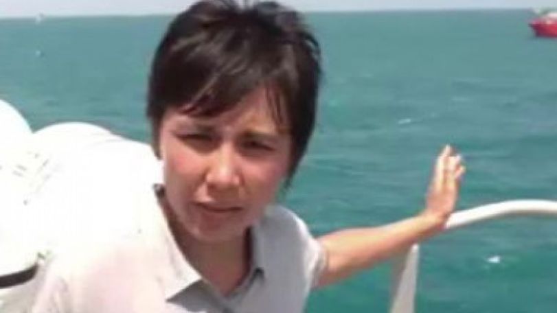 AirAsia QZ8501: 'Pings' detected in plane search
